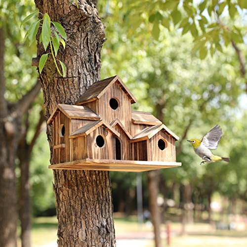 6 Gats handgemaakt vogelhuisje - Patio