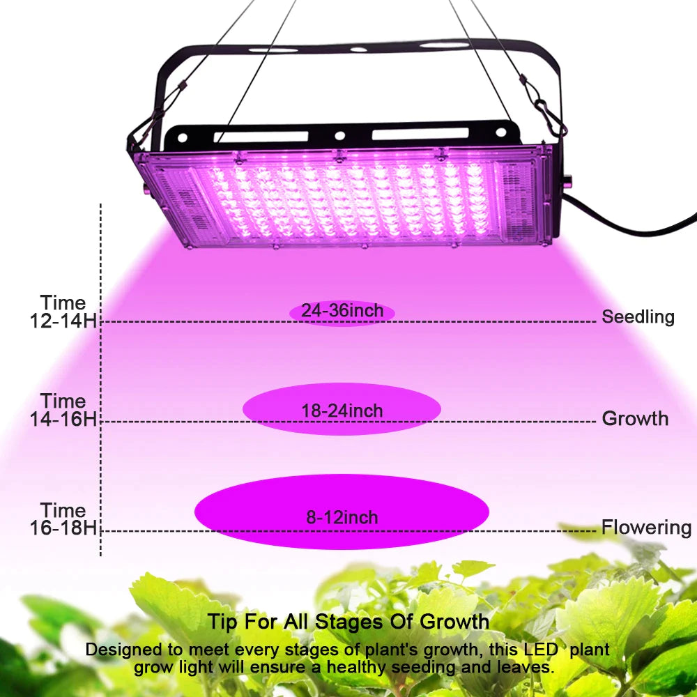 HydroGlow - Volledig Spectrum LED EU stekker kweeklamp