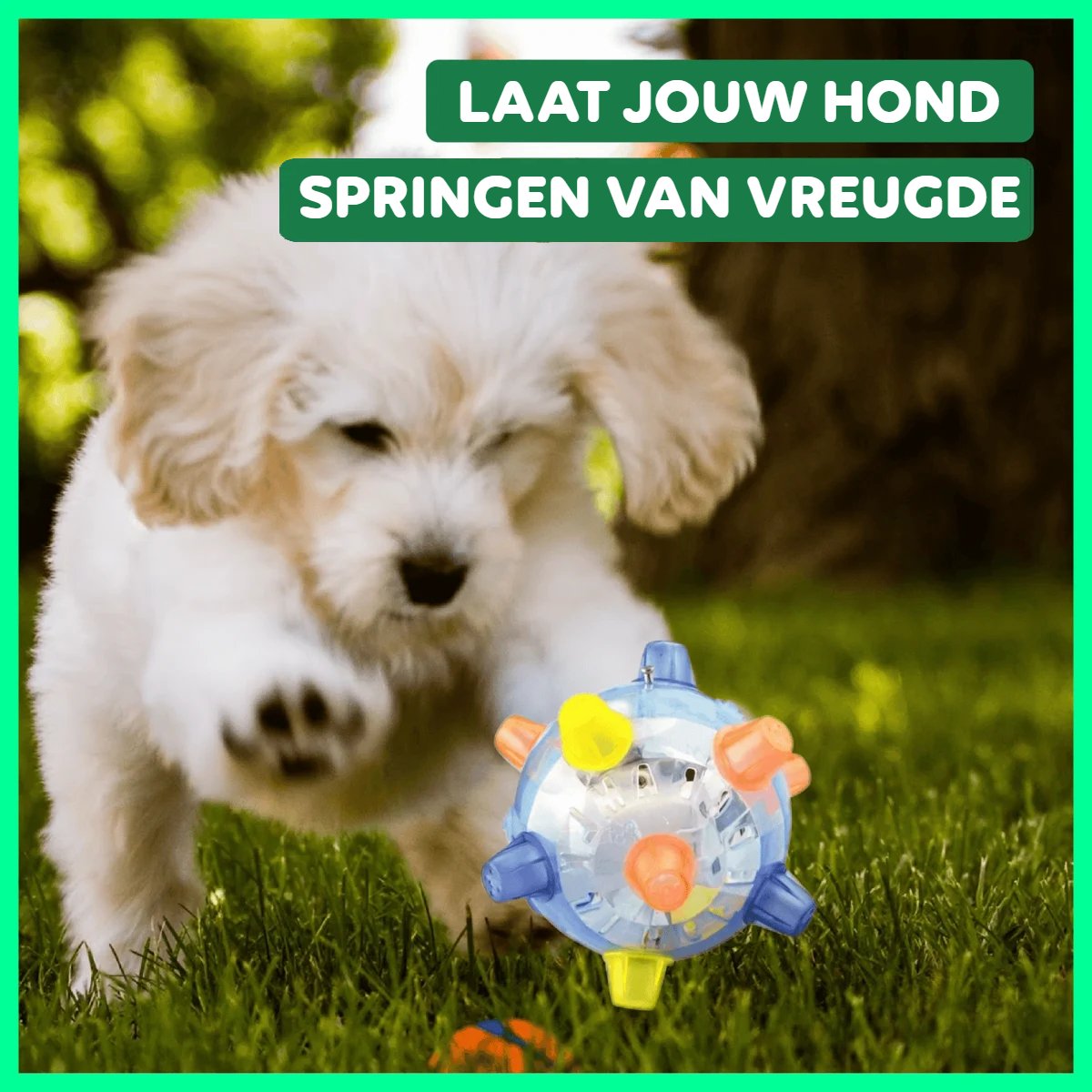 Springende Hondenbal | Interactief hondenspeelgoed- Aria