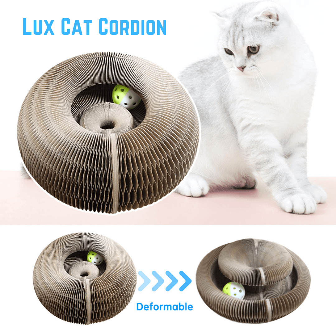 Kattenspeelgoed tegen krabben | Lux Cat Cordion - Colly